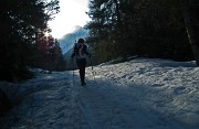 13 Il sole filtra nella pineta...